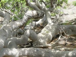 283270_10150265622074901_681304_n